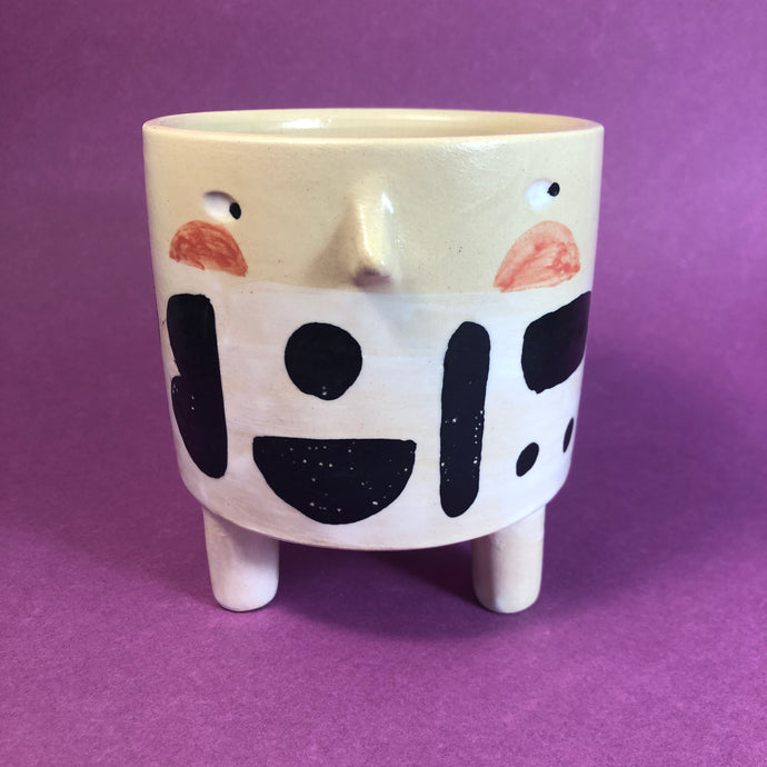 TINO PLANTER