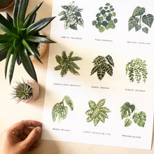 Load image into Gallery viewer, HOUSE PLANTS